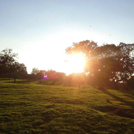 Casa De Campo Alter Pedroso Alter do Chão Dış mekan fotoğraf