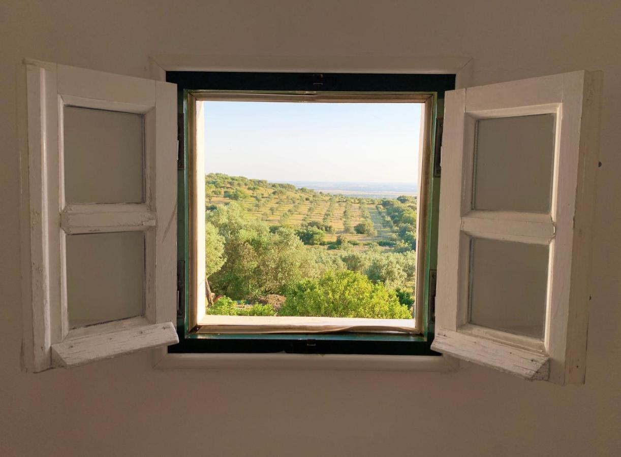 Casa De Campo Alter Pedroso Alter do Chão Dış mekan fotoğraf
